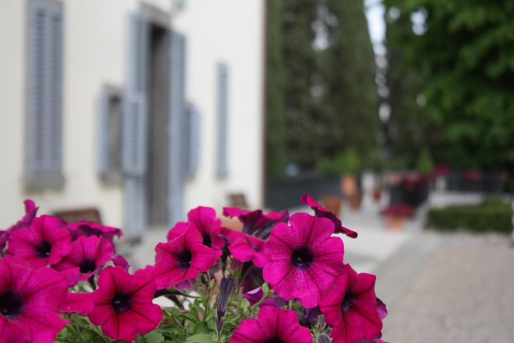 Villa Montarioso Siena Exteriör bild